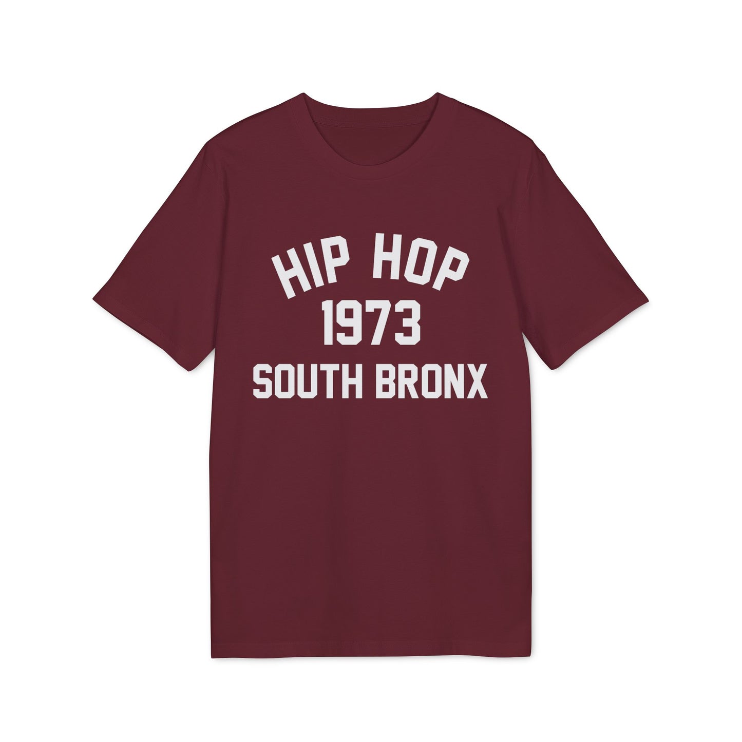 Hip Hop 1973 T Shirt (Premium Biologisch)