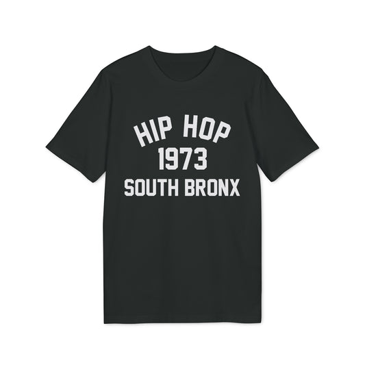 Hip Hop 1973 T Shirt (Premium Biologisch)